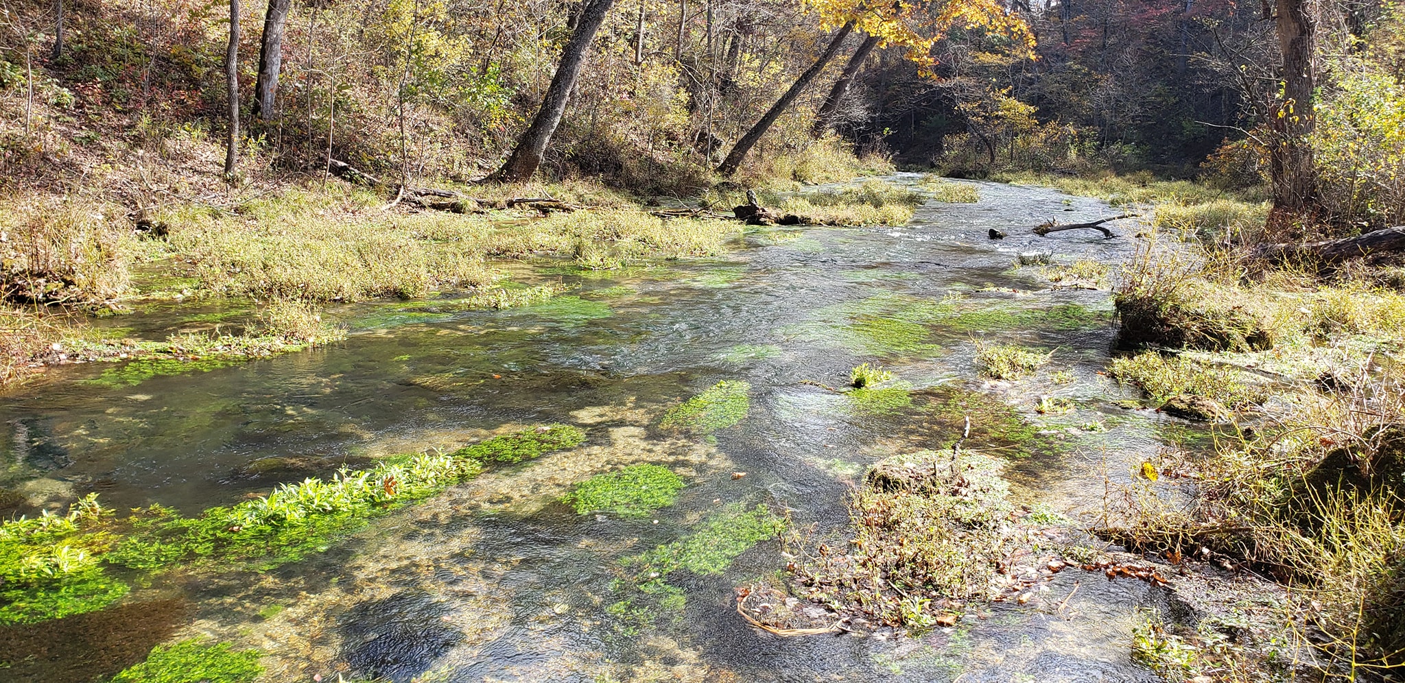 A spring on the Current River, Missouri